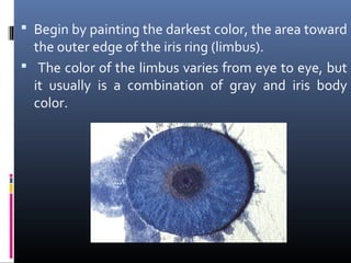  Begin by painting the darkest color, the area toward
the outer edge of the iris ring (limbus).
 The color of the limbus varies from eye to eye, but
it usually is a combination of gray and iris body
color.
 