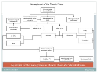 8/12/2019Sah Surendra HEH
31
Algorithm for the management of chronic phase after chemical burn.
 