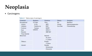 Neoplasia
• Carcinogens
 
