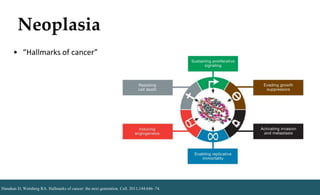 Neoplasia
Hanahan D, Weinberg RA. Hallmarks of cancer: the next generation. Cell. 2011;144:646–74.
• “Hallmarks of cancer”
 