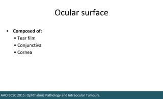 Ocular surface
AAO BCSC 2015: Ophthalmic Pathology and Intraocular Tumours.
• Composed of:
• Tear film
• Conjunctiva
• Cornea
 