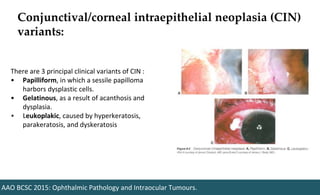 Conjunctival/corneal intraepithelial neoplasia (CIN)
variants:
AAO BCSC 2015: Ophthalmic Pathology and Intraocular Tumours.
There are 3 principal clinical variants of CIN :
• Papilliform, in which a sessile papilloma
harbors dysplastic cells.
• Gelatinous, as a result of acanthosis and
dysplasia.
• Leukoplakic, caused by hyperkeratosis,
parakeratosis, and dyskeratosis
 