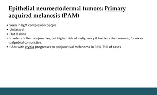 Epithelial neuroectodermal tumors: Primary
acquired melanosis (PAM)
• Seen in light complexion people.
• Unilateral
• Flat lesions
• Involves bulbar conjunctiva, but higher risk of malignancy if involves the caruncle, fornix or
palpebral conjunctiva.
• PAM with atypia progresses to conjunctival melanoma in 36%-75% of cases
 