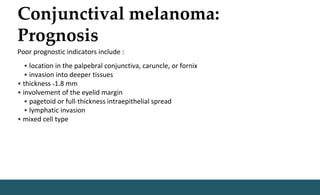 Conjunctival melanoma:
Prognosis
Poor prognostic indicators include :
• location in the palpebral conjunctiva, caruncle, or fornix
• invasion into deeper tissues
• thickness >1.8 mm
• involvement of the eyelid margin
• pagetoid or full-thickness intraepithelial spread
• lymphatic invasion
• mixed cell type
 