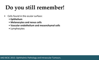 Do you still remember!
AAO BCSC 2015: Ophthalmic Pathology and Intraocular Tumours.
• Cells found in the ocular surface:
• Epithelium
• Melanocytes and nevus cells
• Vascular endothelium and mesenchymal cells
• Lymphocytes
 