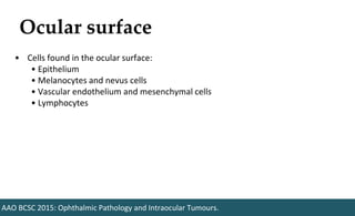 Ocular surface
AAO BCSC 2015: Ophthalmic Pathology and Intraocular Tumours.
• Cells found in the ocular surface:
• Epithelium
• Melanocytes and nevus cells
• Vascular endothelium and mesenchymal cells
• Lymphocytes
 