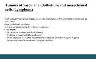 Tumors of vascular endothelium and mesechymal
cells: Lymphoma
• Conjunctival lymphoma is mostly extranodal marginal zone lymphoma (formerly known as
MALToma)
• Low grade B-cell lymphoma
• 2/3 are not associated with systemic lymphoma
• Treatment:
• No systemic involvement: Radiotherapy
• Systemic involvement: Chemotherapy
• Some cases are associated with chlamydial infection similar to H.pylori in gastic
lymphoma, therefore treatment using doxycycline.
 