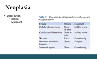 Neoplasia
• Classification
• Benign
• Malignant
 