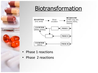 Biotransformation Phase 1 reactions Phase  2 reactions 