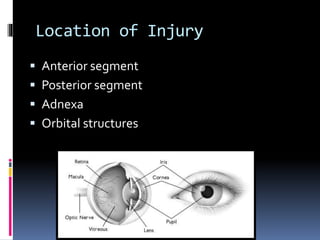 Location of Injury
 Anterior segment
 Posterior segment
 Adnexa
 Orbital structures
 