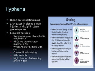 Hyphema
 Blood accumulation in AC
 2/3rd cases in closed globe
injuries and 1/3rd in open
globe injuries
 Clinical Features
 Symptoms- pain, photophobia,
reducedV/A
 RBCs and proteinaceous
material in AC
 Whole AC may be filled with
clot
 Corneal blood staining
 IOP- variable
 High chances of rebleeding
after 3-5 days
 