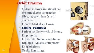Orbit Trauma
▸ Sudden increase in Intraorbital
pressure due to compaction
▸ Object greater than 5cm in
diameter .
▸ Floor > Medial wall weak
▸ Clinical Features:
▸ Periocular Echymosis ,Edema ,
Emphysema
▸ Infraorbital Nerve anaesthesia
▸ Diplopia –Muscle entrapment
▸ Enophthalmos
▸ Ocular Damamge16
 