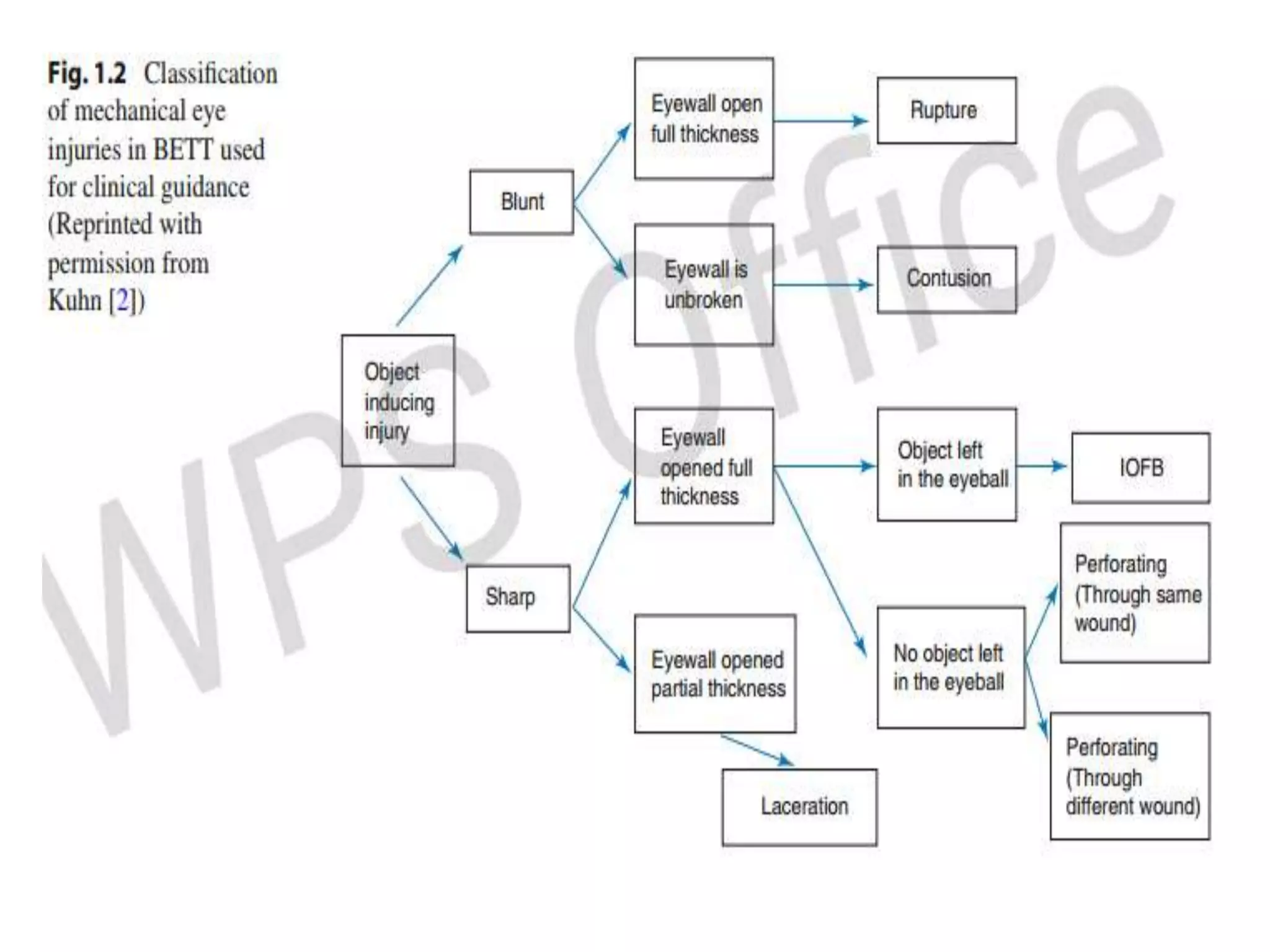 Betts Classification Blunt Ocular trauma | PPTX