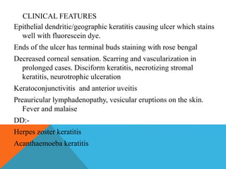 CLINICAL FEATURES 
Epithelial dendritic/geographic keratitis causing ulcer which stains 
well with fluorescein dye. 
Ends of the ulcer has terminal buds staining with rose bengal 
Decreased corneal sensation. Scarring and vascularization in 
prolonged cases. Disciform keratitis, necrotizing stromal 
keratitis, neurotrophic ulceration 
Keratoconjunctivitis and anterior uveitis 
Preauricular lymphadenopathy, vesicular eruptions on the skin. 
Fever and malaise 
DD:- 
Herpes zoster keratitis 
Acanthaemoeba keratitis 
 