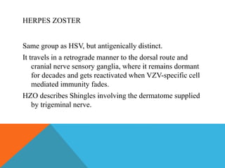 HERPES ZOSTER 
Same group as HSV, but antigenically distinct. 
It travels in a retrograde manner to the dorsal route and 
cranial nerve sensory ganglia, where it remains dormant 
for decades and gets reactivated when VZV-specific cell 
mediated immunity fades. 
HZO describes Shingles involving the dermatome supplied 
by trigeminal nerve. 
 