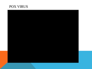 POX VIRUS 
 