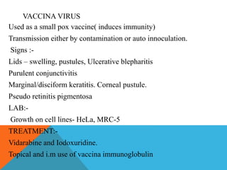 VACCINA VIRUS 
Used as a small pox vaccine( induces immunity) 
Transmission either by contamination or auto innoculation. 
Signs :- 
Lids – swelling, pustules, Ulcerative blepharitis 
Purulent conjunctivitis 
Marginal/disciform keratitis. Corneal pustule. 
Pseudo retinitis pigmentosa 
LAB:- 
Growth on cell lines- HeLa, MRC-5 
TREATMENT:- 
Vidarabine and Iodoxuridine. 
Topical and i.m use of vaccina immunoglobulin 
 