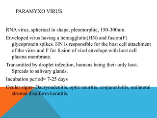 PARAMYXO VIRUS 
RNA virus, spherical in shape, pleomorphic, 150-300nm. 
Enveloped virus having a hemagglutin(HN) and fusion(F) 
glycoprotein spikes. HN is responsible for the host cell attachment 
of the virus and F for fusion of viral envelope with host cell 
plasma membrane. 
Transmitted by droplet infection, humans being their only host. 
Spreads to salivary glands. 
Incubation period= 7-25 days 
Ocular signs- Dacryoadenitis, optic neuritis, conjunctivitis, unilateral 
stromal disciform keratitis. 
 