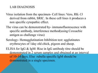 LAB DIAGNOSIS 
Virus isolation from the specimen- Cell lines: Vero, RK-13 
derived from rabbit, SRIC. In these cell lines it produces a 
non specific cytopathic effect. 
The virus can be demonstrated by- immunofluorescence with 
specific antibody, interference method(using Coxsachie 
antigen as challenge virus) 
Serology- Hemagglutination Inhibition test: agglutinates 
erythrocytes of 1day old chick, pigeon and sheep. 
ELISA for IgG & IgM: Rise in IgG antibody titre should be 
demonstrated in 2 serum samples and obtained at an interval 
of 10-14 days. Else rubella specific IgM should be 
demonstrated in a single specimen. 
 
