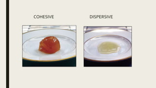 COHESIVE DISPERSIVE
 