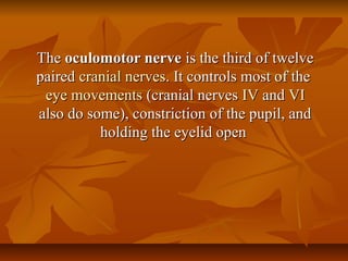 TheThe oculomotor nerveoculomotor nerve is the third of twelveis the third of twelve
pairedpaired cranial nervescranial nerves. It controls most of the. It controls most of the
eye movementseye movements (cranial nerves(cranial nerves IVIV andand VIVI
also do some), constriction of the pupil, andalso do some), constriction of the pupil, and
holding the eyelid openholding the eyelid open
 