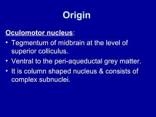 Origin
Oculomotor nucleus:
• Tegmentum of midbrain at the level of
superior colliculus.
• Ventral to the peri-aqueductal grey matter.
• It is column shaped nucleus & consists of
complex subnuclei.
 
