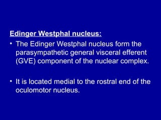 Edinger Westphal nucleus:
• The Edinger Westphal nucleus form the
parasympathetic general visceral efferent
(GVE) component of the nuclear complex.
• It is located medial to the rostral end of the
oculomotor nucleus.
 