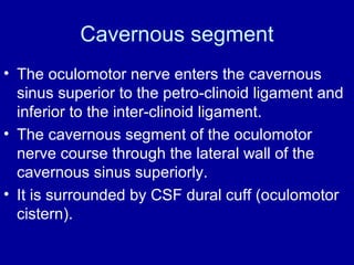Cavernous segment
• The oculomotor nerve enters the cavernous
sinus superior to the petro-clinoid ligament and
inferior to the inter-clinoid ligament.
• The cavernous segment of the oculomotor
nerve course through the lateral wall of the
cavernous sinus superiorly.
• It is surrounded by CSF dural cuff (oculomotor
cistern).
 