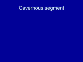 Cavernous segment
 