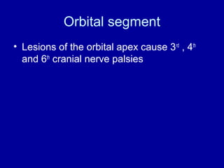 Orbital segment
• Lesions of the orbital apex cause 3rd
, 4th
and 6th
cranial nerve palsies
 