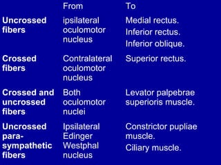 From To
Uncrossed
fibers
ipsilateral
oculomotor
nucleus
Medial rectus.
Inferior rectus.
Inferior oblique.
Crossed
fibers
Contralateral
oculomotor
nucleus
Superior rectus.
Crossed and
uncrossed
fibers
Both
oculomotor
nuclei
Levator palpebrae
superioris muscle.
Uncrossed
para-
sympathetic
fibers
Ipsilateral
Edinger
Westphal
nucleus
Constrictor pupliae
muscle.
Ciliary muscle.
 
