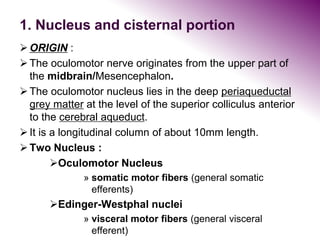 1. Nucleus and cisternal portion
ORIGIN :
The oculomotor nerve originates from the upper part of
the midbrain/Mesencephalon.
The oculomotor nucleus lies in the deep periaqueductal
grey matter at the level of the superior colliculus anterior
to the cerebral aqueduct.
It is a longitudinal column of about 10mm length.
Two Nucleus :
Oculomotor Nucleus
» somatic motor fibers (general somatic
efferents)
Edinger-Westphal nuclei
» visceral motor fibers (general visceral
efferent)
 