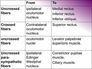 From To
Uncrossed
fibers
ipsilateral
oculomotor
nucleus
Medial rectus.
Inferior rectus.
Inferior oblique.
Crossed
fibers
Contralateral
oculomotor
nucleus
Superior rectus.
uncrossed
fibers
oculomotor
nuclei
Levator palpebrae
superioris muscle.
Uncrossed
para-
sympathetic
fibers
Ipsilateral
Edinger
Westphal
nucleus
Constrictor pupliae
muscle.
Ciliary muscle.
 