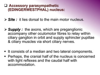  Accessory parasympathetic
(EDINGERWESTPHAL) nucleus:
 Site : it lies dorsal to the main motor nucleus.
 Supply : the axons, which are preganglionic
accompany other oculomotor fibres to relay within
ciliary ganglion in orbit and supply sphincter pupillae
& ciliary muscles via short ciliary nerves.
 It consists of a median and two lateral components.
 Perhaps, the cranial half of the nucleus is concerned
with light reflexes and the caudal half with
accommodation.
 