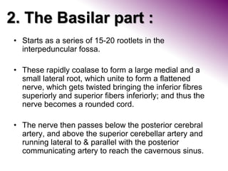 2. The Basilar part :
• Starts as a series of 15-20 rootlets in the
interpeduncular fossa.
• These rapidly coalase to form a large medial and a
small lateral root, which unite to form a flattened
nerve, which gets twisted bringing the inferior fibres
superiorly and superior fibers inferiorly; and thus the
nerve becomes a rounded cord.
• The nerve then passes below the posterior cerebral
artery, and above the superior cerebellar artery and
running lateral to & parallel with the posterior
communicating artery to reach the cavernous sinus.
 