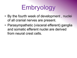 Embryology
• By the fourth week of development , nuclei
of all cranial nerves are present.
• Parasympathetic (visceral efferent) ganglia
and somatic efferent nuclei are derived
from neural crest cells.
 