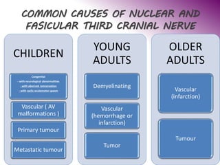 COMMON CAUSES OF NUCLEAR AND
FASICULAR THIRD CRANIAL NERVE
CHILDREN
Congenital
- with neurological abnormalities
- with aberrant rennervation
- with cyclic oculomotor spasm
Vascular ( AV
malformations )
Primary tumour
Metastatic tumour
YOUNG
ADULTS
Demyelinating
Vascular
(hemorrhage or
infarction)
Tumor
OLDER
ADULTS
Vascular
(infarction)
Tumour
 