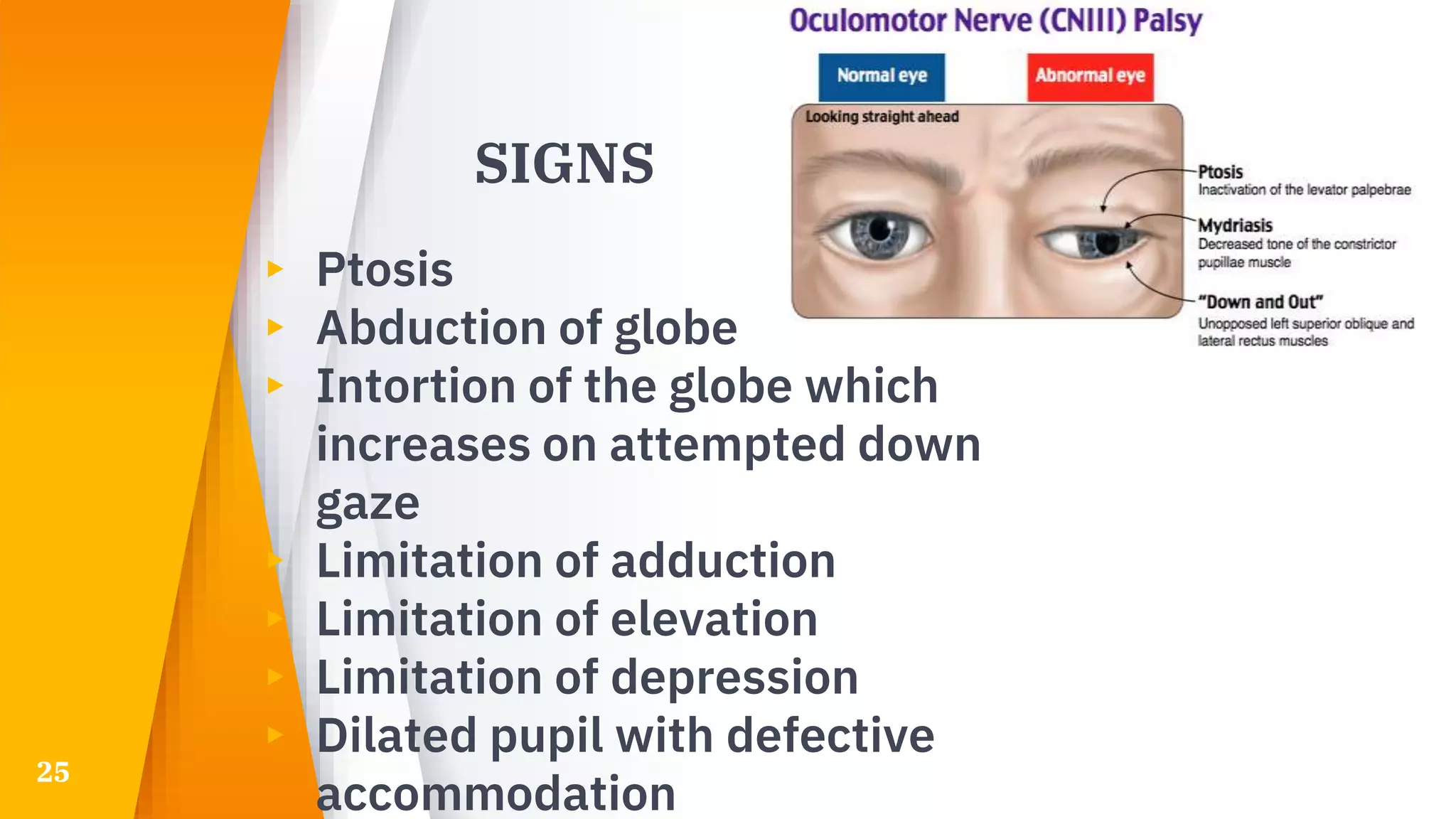 Intortion Oculomotor nerve | PPTX