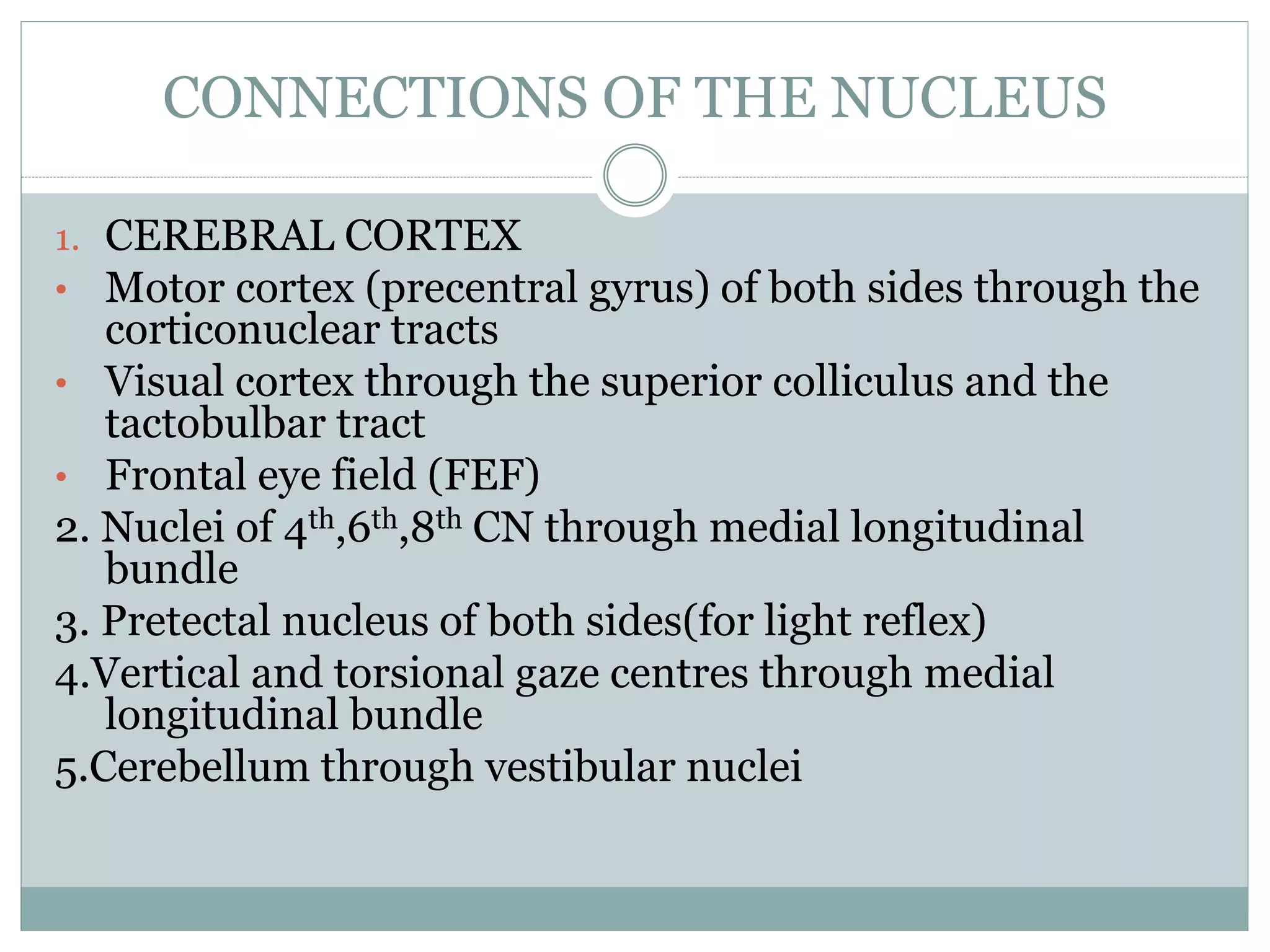 oculomotor nerve.pptx