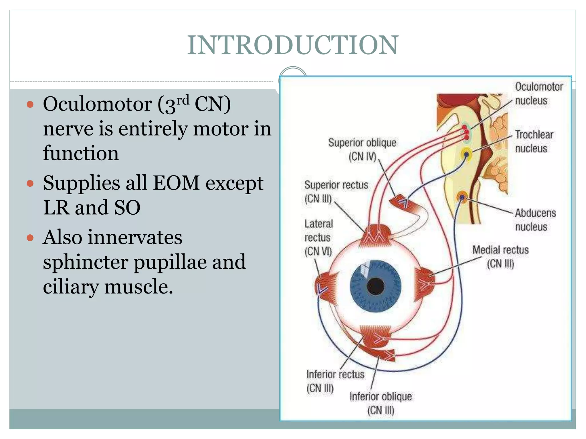 Oculomotor