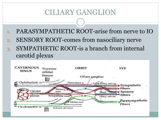 CILIARY GANGLION
1. PARASYMPATHETIC ROOT-arise from nerve to IO
2. SENSORY ROOT-comes from nasociliary nerve
3. SYMPATHETIC ROOT-is a branch from internal
carotid plexus
 