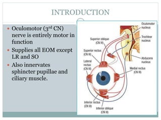 INTRODUCTION
 Oculomotor (3rd CN)
nerve is entirely motor in
function
 Supplies all EOM except
LR and SO
 Also innervates
sphincter pupillae and
ciliary muscle.
 
