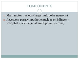 COMPONENTS
1. Main motor nucleus (large multipolar neurons)
2. Accessory parasympathetic nucleus or Edinger –
westphal nucleus (small multipolar neurons)
 