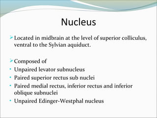 Nucleus
Located in midbrain at the level of superior colliculus,
ventral to the Sylvian aquiduct.
Composed of
• Unpaired levator subnucleus
• Paired superior rectus sub nuclei
• Paired medial rectus, inferior rectus and inferior
oblique subnuclei
• Unpaired Edinger-Westphal nucleus
 