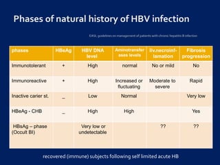 phases HBeAg HBV DNA
level
Aminotransfer
ases levels
liv.necroinf-
lamation
Fibrosis
progression
Immunotolerant + High normal No or mild No
Immunoreactive + High Increased or
fluctuating
Moderate to
severe
Rapid
Inactive carier st. _ Low Normal Very low
HBeAg - CHB _ High High Yes
HBsAg – phase
(Occult BI)
Very low or
undetectable
?? ??
recovered (immune) subjects following self limited acute HB
 