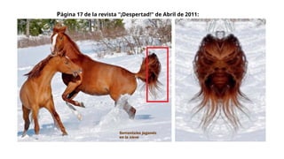 Página 17 de la revista "¡Despertad!" de Abril de 2011:
 