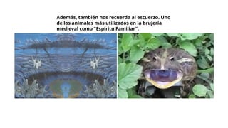 Además, también nos recuerda al escuerzo. Uno
de los animales más utilizados en la brujería
medieval como "Espíritu Familiar":
 