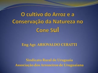 O cultivo do Arroz e a Conservação da Natureza no Cone Sul Eng Agr. ARIOVALDO CERATTI Sindicato Rural de Uruguaia Associação dos Arrozeiros de Uruguaiana 