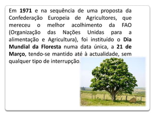 Em 1971 e na sequência de uma proposta da Confederação Europeia de Agricultores, que mereceu o melhor acolhimento da FAO (Organização das Nações Unidas para a alimentação e Agricultura), foi instituído o Dia Mundial da Floresta numa data única, a 21 de Março, tendo-se mantido até à actualidade, sem qualquer tipo de interrupção.