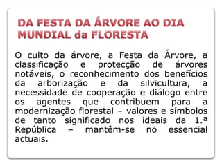 DA FESTA DA ÁRVORE AO DIA MUNDIAL da FLORESTAO culto da árvore, a Festa da Árvore, a classificação e protecção de árvores notáveis, o reconhecimento dos benefícios da arborização e da silvicultura, a necessidade de cooperação e diálogo entre os agentes que contribuem para a modernização florestal – valores e símbolos de tanto significado nos ideais da 1.ª República – mantêm-se no essencial actuais. 
